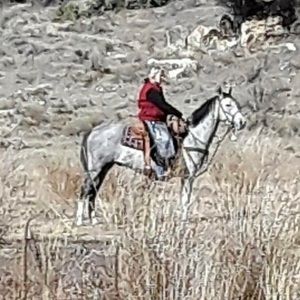 Meet your Posher, Tammy